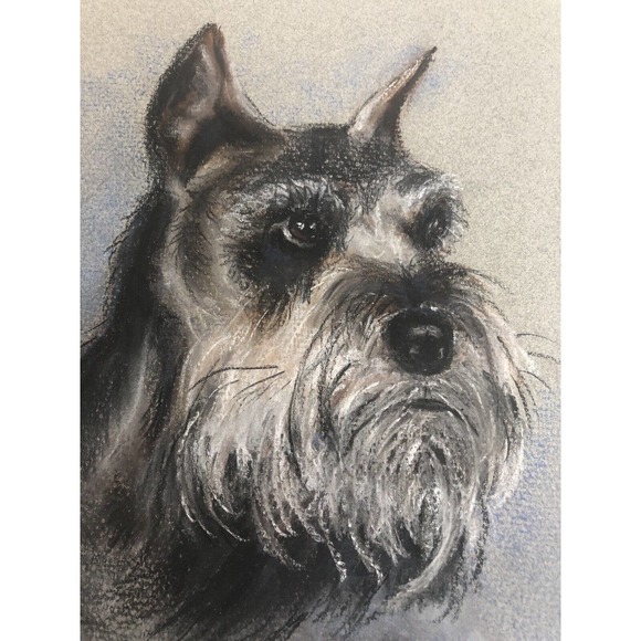Vintage Pastel Drawing Schnauzer Gray Dog Original Art - Picture 4 of 8